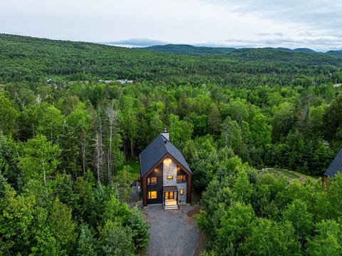 Surrounded by forest as far as the eye can see-total peace