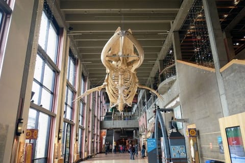 Only 1 mile from the Grand Rapids Museum.