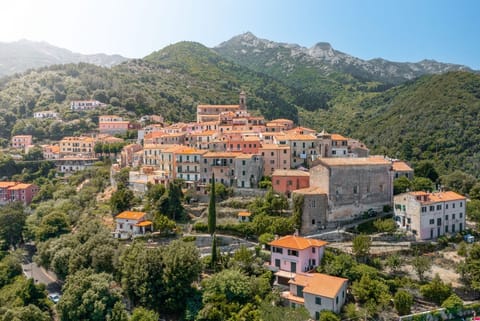 Domu de Zita in Poggio Apartment in Tuscany