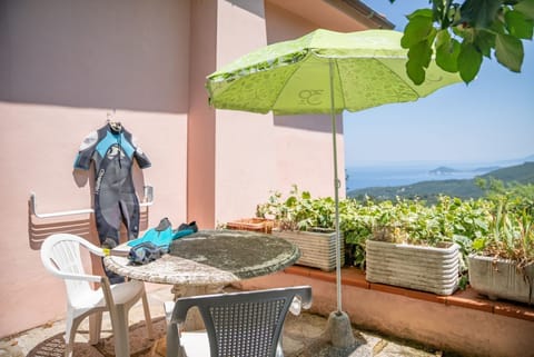 Domu de Zita in Poggio Apartment in Tuscany