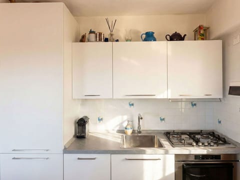 Kitchen, Kitchen Appliance, Countertop, Major Appliance, Kitchen Sink, Cabinetry, Home Appliance, Interior Design, Stove, Kitchen Stove