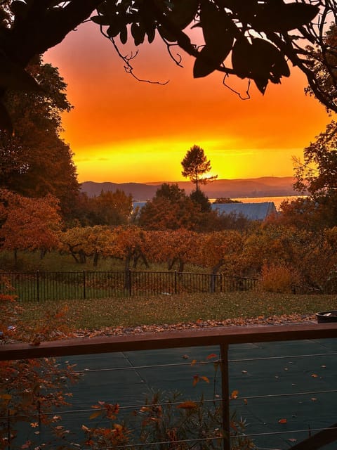 Stunning sunset deck view over autumn trees, hills, and distant water