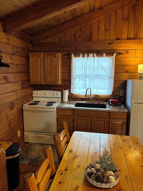 Cozy 1-bedroom cabin in gorgeous Hocking Hills. Private Couples getaway Cabin in Falls Township