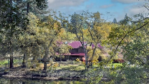 Cover Photo