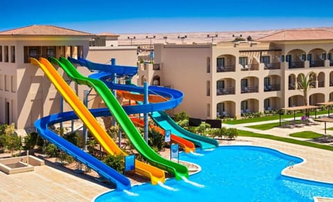 Race down colorful slides for nonstop laughter and fun.