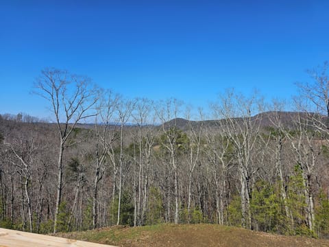 Long range view off back deck