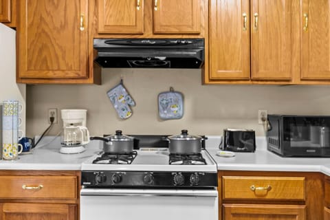 Kitchen | Gas Range | Upper Storage & Vent Hood