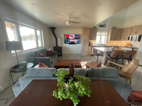 Living area with 65" TV