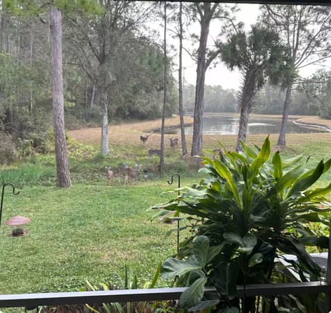 Like family-pet friendly 20 mi from the airport and 30 min from honeymoon beach House in Westchase