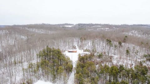 Scenic Getaway: Discover serene snowy landscapes and nature’s tranquility in Bidwell!