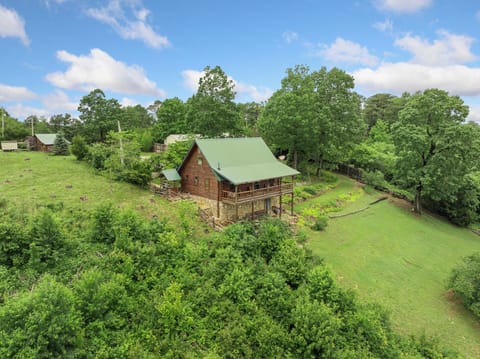 Rustic Cedar Roost - Spectacular Views -Family & Pet Friendly -Peaceful Escape Cabin in Arkansas