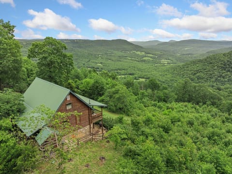 Rustic Cedar Roost - Spectacular Views -Family & Pet Friendly -Peaceful Escape Cabin in Arkansas
