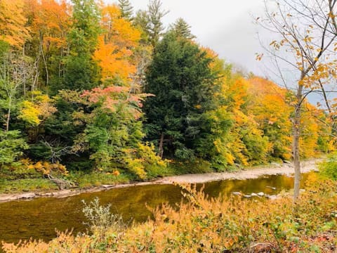 Peaceful Creekside Home and minutes to hunter Slopes Cabin in Hunter
