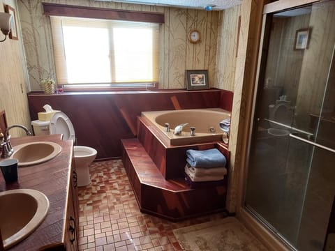 Lower Level Bath - Hot Tub - Shower - Double Sink