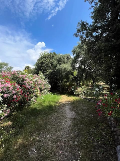 Mobils home 2 bedrooms 4 persons Campground/
RV Resort in Corsica