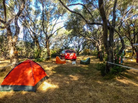 Mobils home 3 bedrooms 6 persons Campground/
RV Resort in Corsica