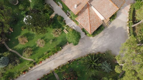 Ammodonostro-luxury Italian experience, Wedding estate near Rome. House in Rome