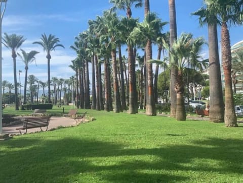 Property view