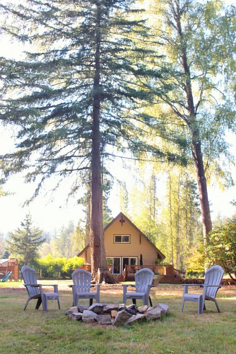 Peaceful Cabin Retreat Near Mayfield Lake- Boating, Fishing, Hunting, Hiking Cabin in Washington