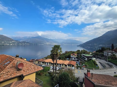 Main view