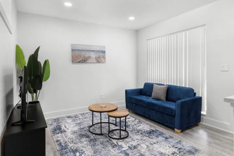 Cozy living room with a pull out sofa bed and TV
