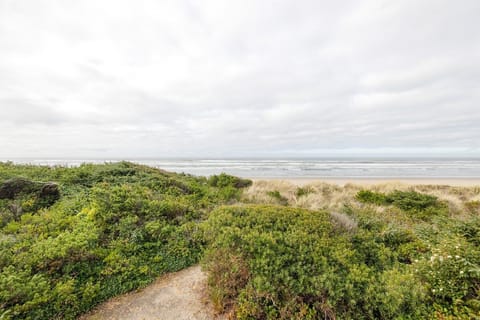 Coastal dunes with native vegetation lead to expansive sandy beach stretches under dramatic cloudy skies.