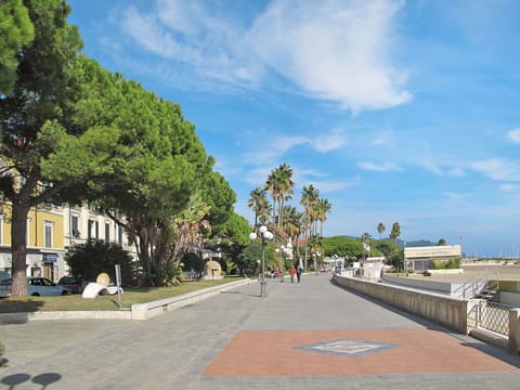 Tree, Public Space, Sidewalk, Walkway, Shade, Thoroughfare, Vacation, Tropics, Street Light