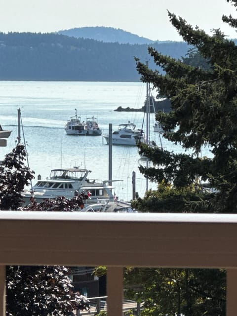Cozy 1 BR condo in perfect Deer Harbor walk to harbor, hiking,& water acticities Apartment in Deer Harbor
