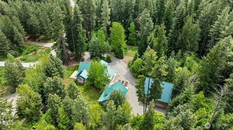 Spacious 6-bedroom estate on 3 acres by Lake Cle Elum w/sauna, hot tub,theater House in Roslyn