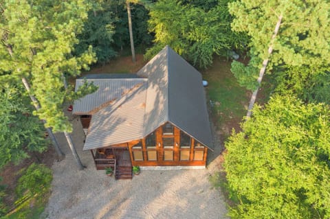 Modern cabin nestled in lush forest with expansive glass windows and metal roofing, surrounded by towering trees and natural beauty.