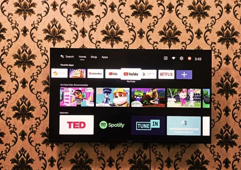 Television
