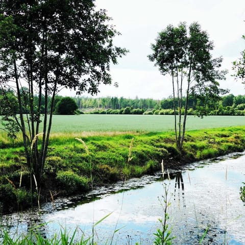 Idyllic vacation home: paradise for fishing and hiking along the River Emån House in Kalmar County, Sweden