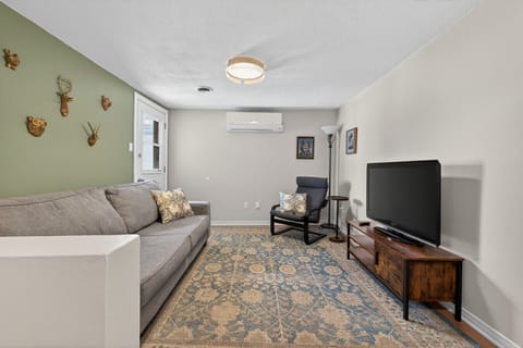 Entrance in the living room