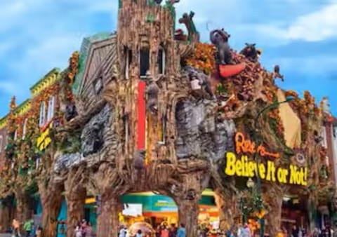 Bear Valley Retreat + Hot Tub + Mountain Views Cabin in Pigeon Forge