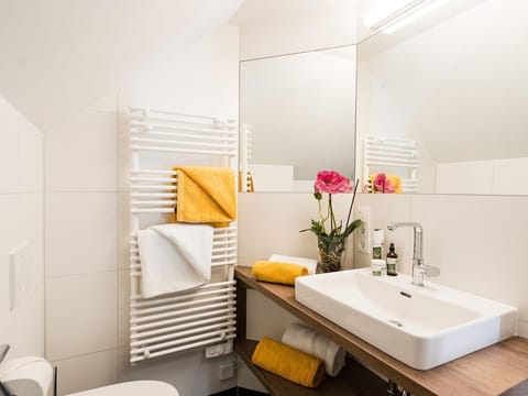 Apartment Deluxe - Holiday apartment Hindenburg Apartment in Salzburgerland