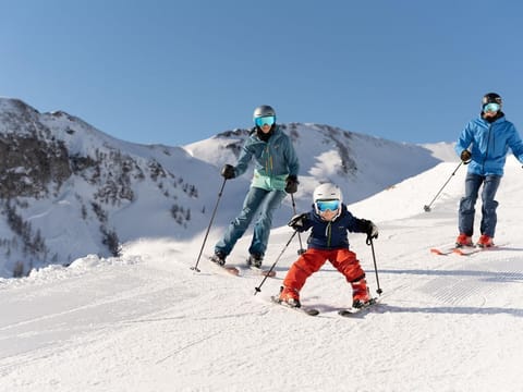 Am Schilift, house - Apartment for 2-3 persons with shower & WC Apartment in Salzburgerland