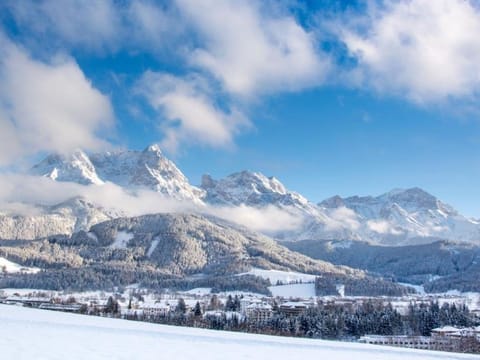 Am Schilift, house - Apartment for 2-3 persons with shower & WC Apartment in Salzburgerland