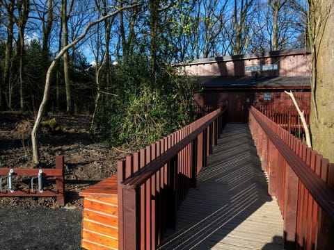 Glentress Forest Silver Birch wheelchair accessible cabin