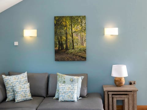 Glentress Forest Silver Birch