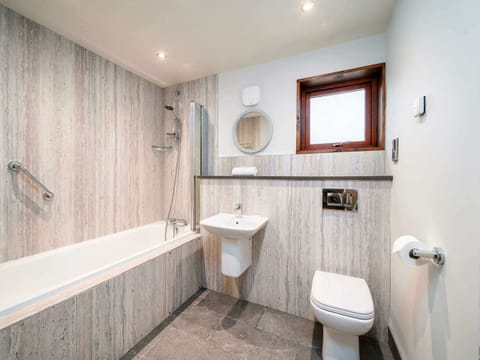 Glentress Forest Silver Birch