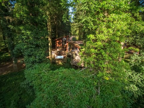 Glentress Forest Golden Oak Treehouse