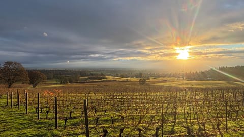 Vineyard 1 bedroom apartment in West Salem - Gorgeous Views. Apartment in Salem