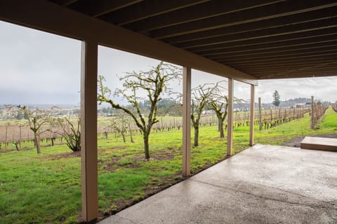 Vineyard 1 bedroom apartment in West Salem - Gorgeous Views. Apartment in Salem