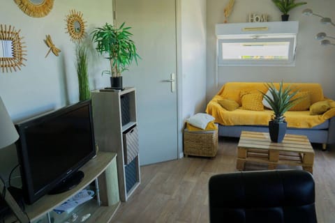 Appartement avec télé et canapé convertible, décoration moderne.