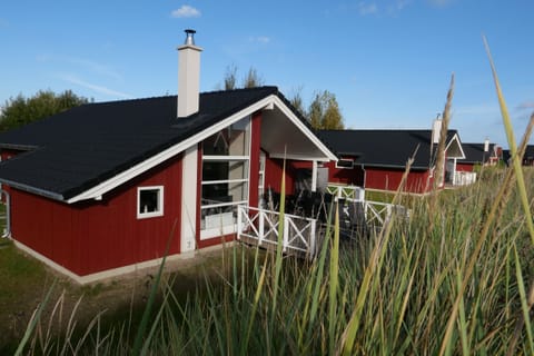 Main view