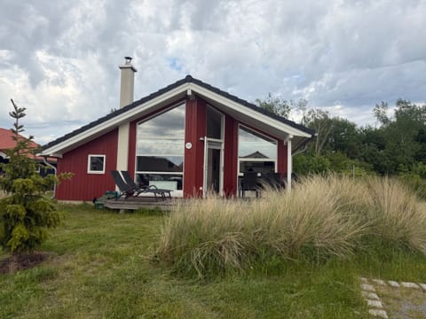 Main view