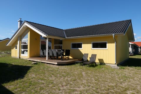 Main view