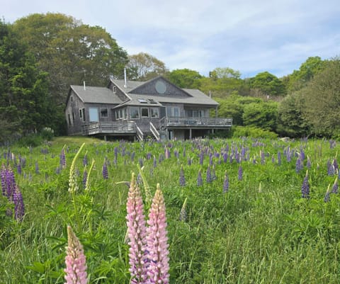 Oak Point Cottage