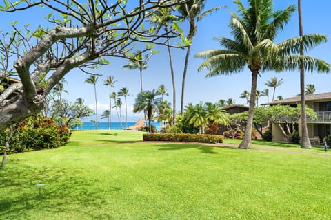Lush resort lawn and garden area with partial ocean views through palms.