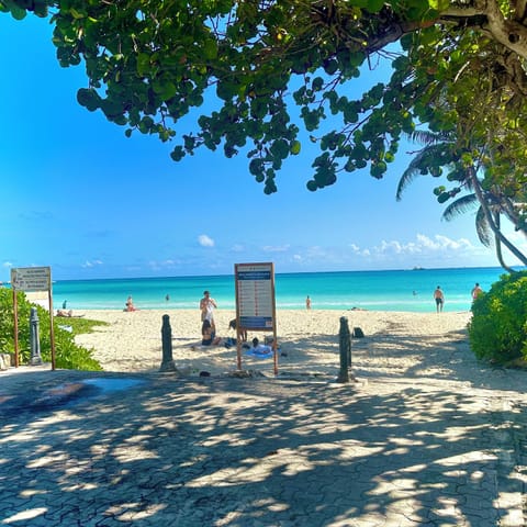 Beach